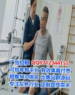利辛代母集成电路公司